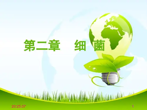 细菌的形态与结构