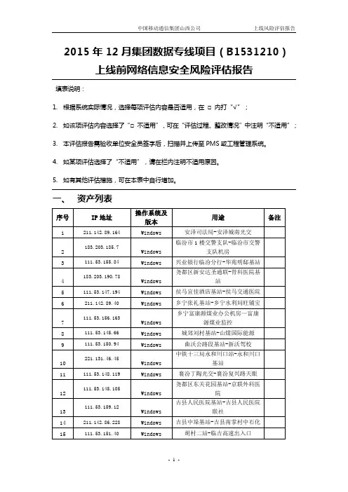 风险评估报告(模板)