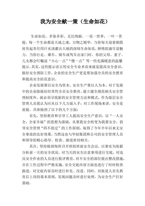 我为安全献一策