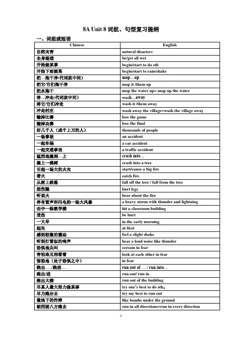 新牛津英语8A-Unit-8词组、句型、语法