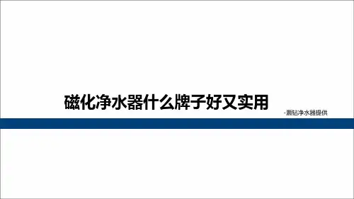 磁化净水器什么牌子好又实用