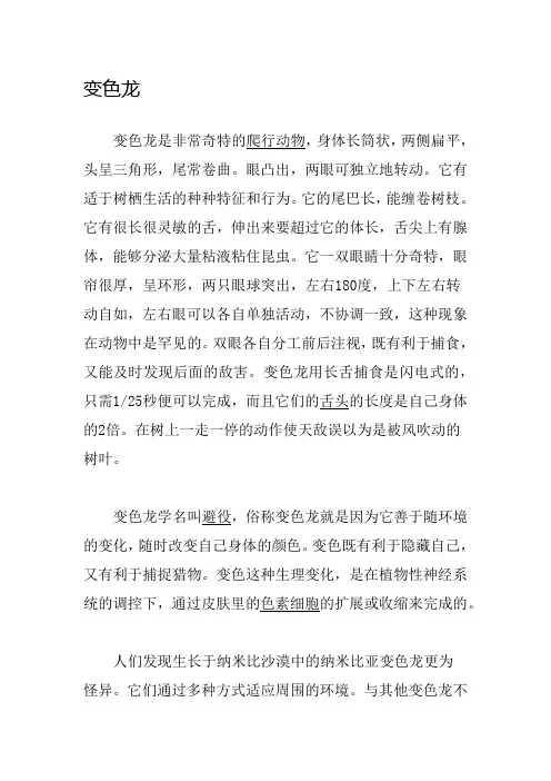 变色龙资料