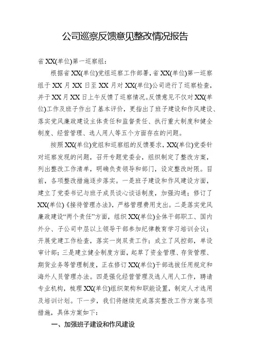 公司巡察反馈意见整改情况报告