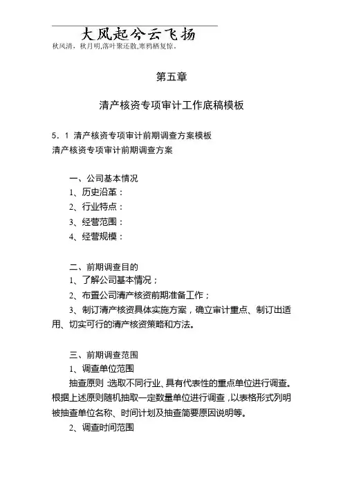 Dajaso清产核资专项审计计划底稿模板