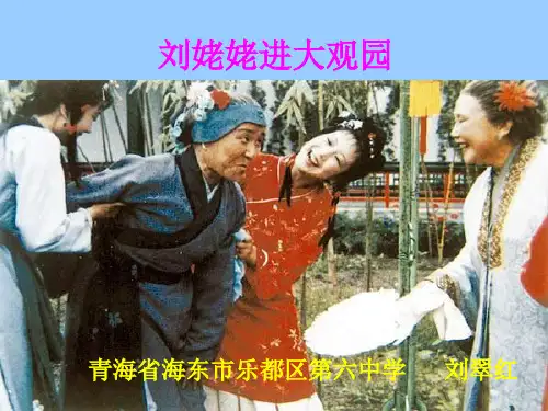 语文人教版(部编)九年级上册《24刘姥姥进大观园》课件公开课(2)