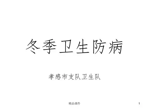 冬季卫生防病ppt课件