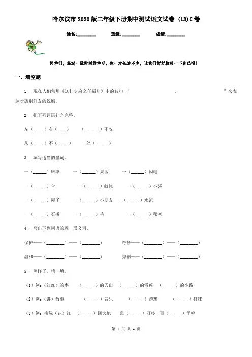 哈尔滨市2020版二年级下册期中测试语文试卷 (13)C卷