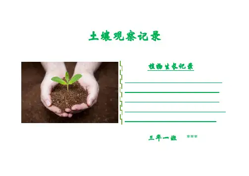 我的土壤(小学生植物生长记录)