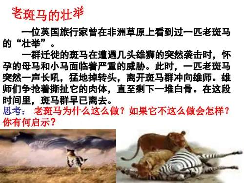 承担关爱集体的责任