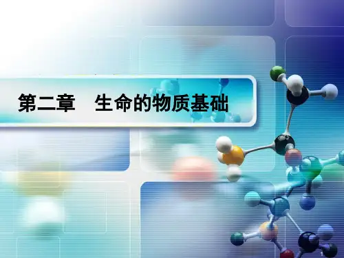 生命的物质基础
