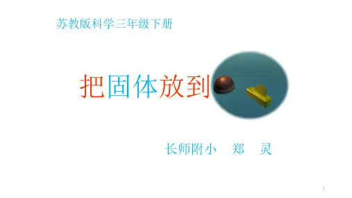把固体放入水里(课堂PPT)