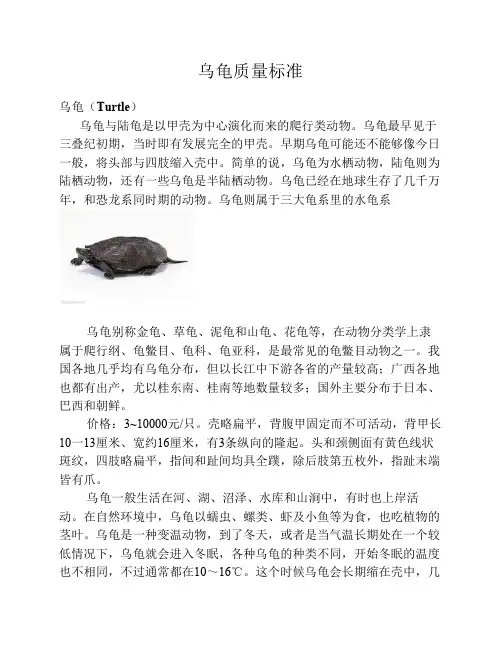 18乌龟质量标准