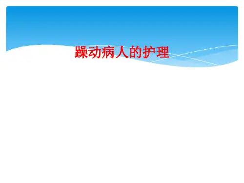躁动病人的护理
