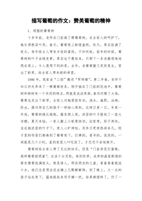 描写葡萄的作文：赞美葡萄的精神_作文