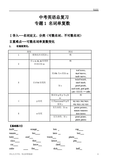 中考总复习名词单复数