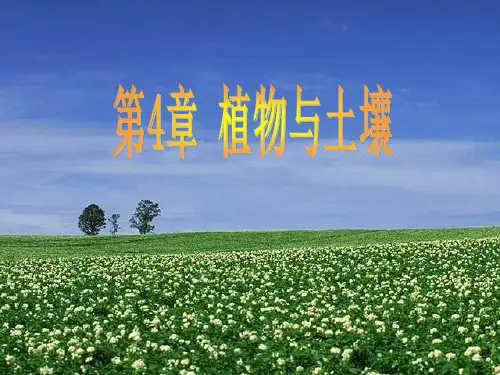 浙教版八年级下册科学4.1_土壤的成分(37张PPT)