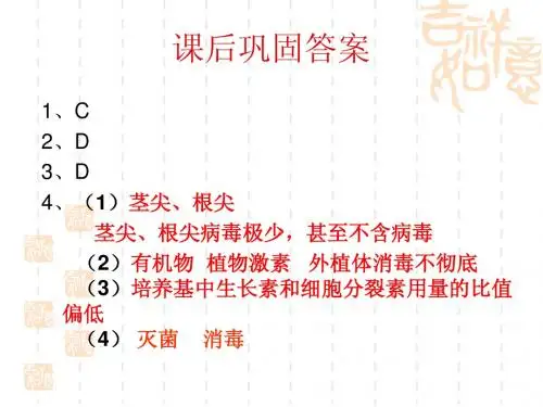 月季的花药培养1