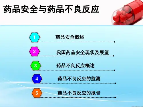 药品安全与药品不良反应