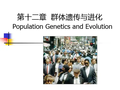 群体遗传与进化