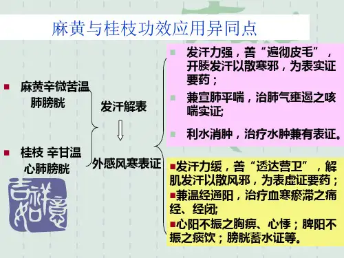 相似中药比较