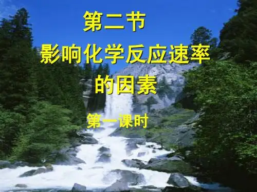 第二节 影响化学反应速率的因素 第一课时