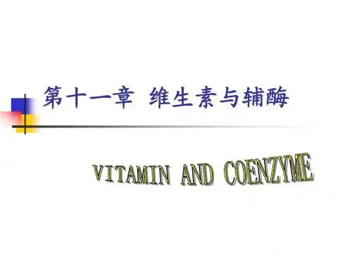 生物化学课件11 维生素与辅酶