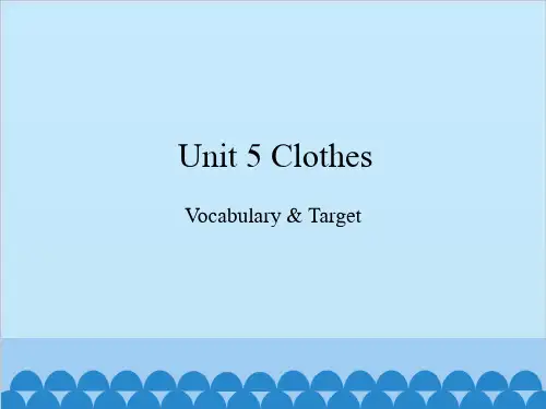 Unit 5 Clothes