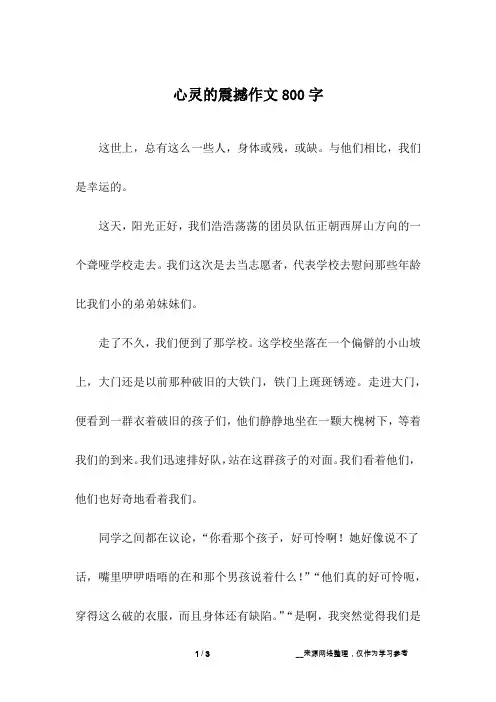 心灵的震撼作文800字