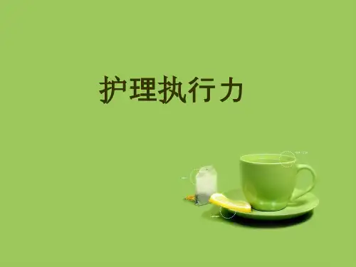 护理执行力
