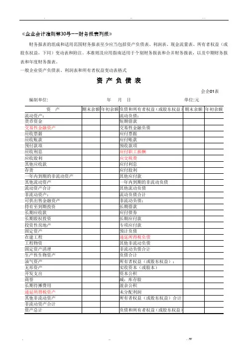 最新财务报表标准格式-