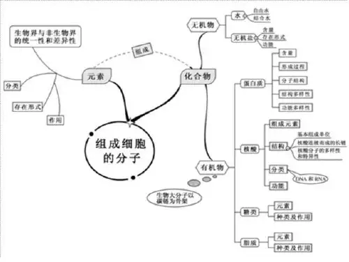 必修一前三章思维导图