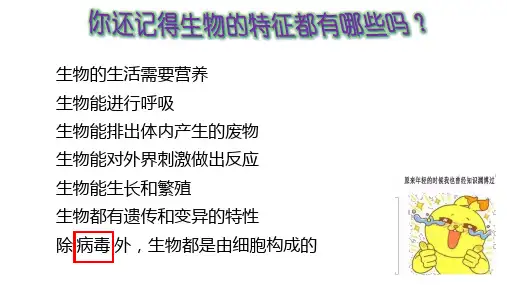 5.5病毒