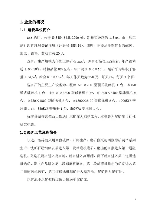 尾矿库可行性研究报告