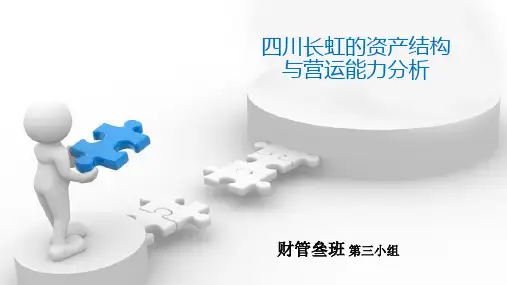 四川长虹的资产结构与营运能力分析-曾利群樊靖玥
