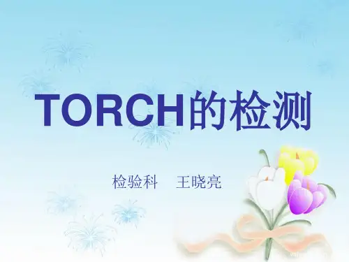 TORCH的检测PPT课件