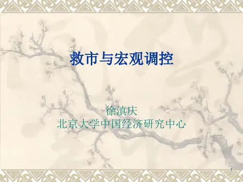 救市与宏观调控PPT课件