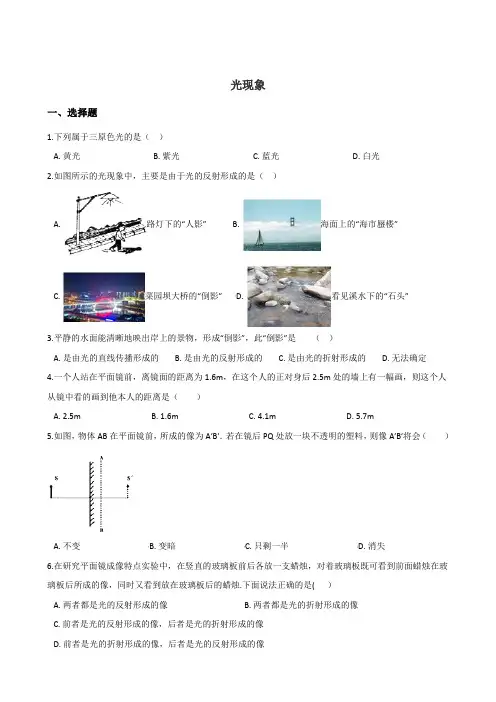2019年中考物理(湖南专用)一轮复习专题：光现象   专题汇编