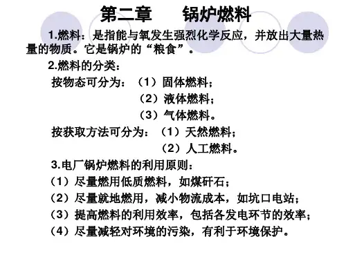 煤的组成成分及性质