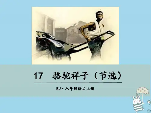 湖北省武汉市八年级语文上册第五单元17骆驼祥子课件鄂教版