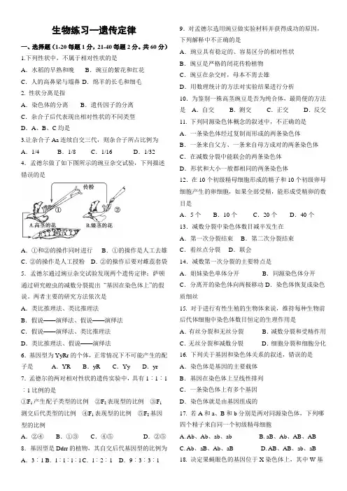 高中生物必修二遗传定律练习题
