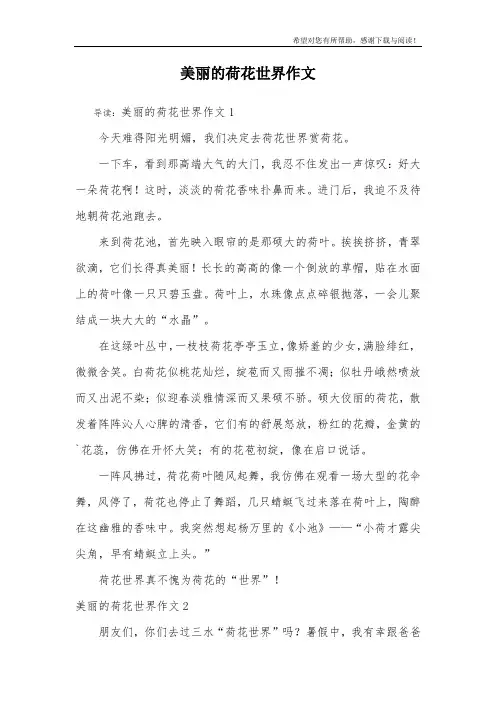 美丽的荷花世界作文