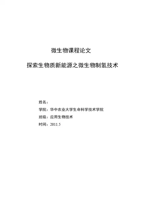 探索生物质新能源之微生物制氢技术
