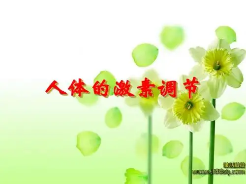 王小丽 人体的激素调节(自设)