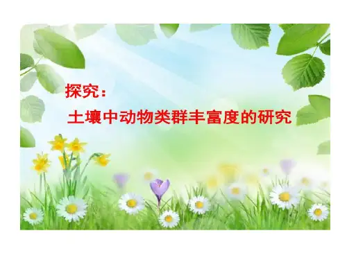 探究土壤中小动物类群丰富度研究共23页