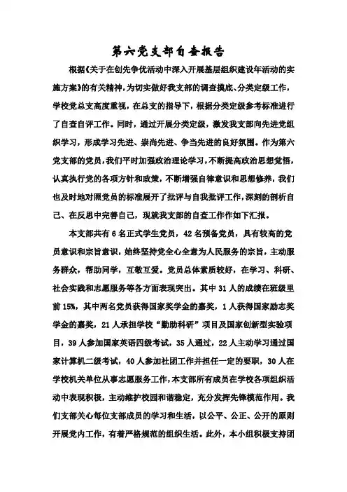 第六党支部自查报告