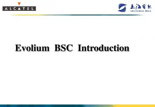 BSC