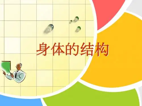 【四年级科学上册优质课件】教科版小学科学四年级上册《身体的结构》简洁版