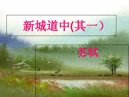 人教版选修《中国古代诗歌散文欣赏》第二单元《新城道中其一》ppt演讲教学