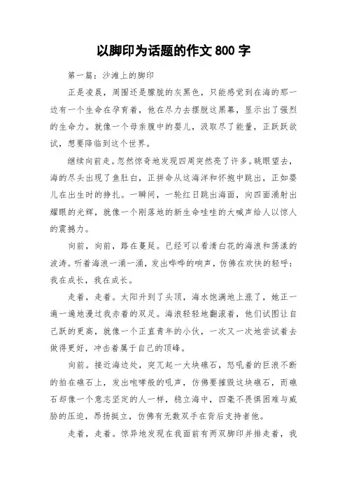 以脚印为话题的作文800字_作文