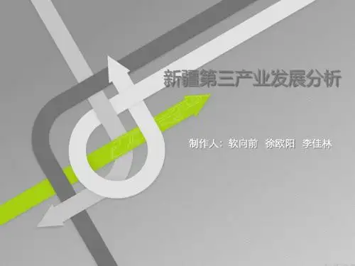 新疆服务业发展分析